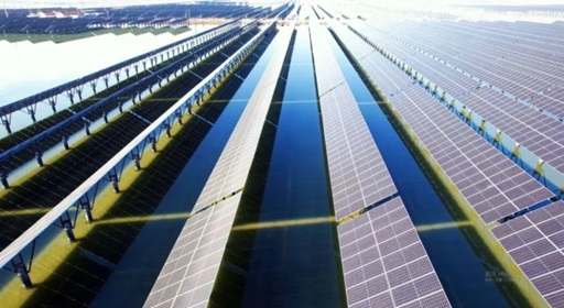 山東?；胶忭?xiàng)目